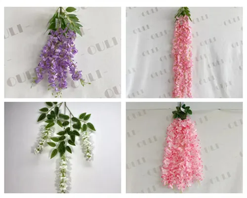 ສາຂາ Wisteria righticial vs ເຄືອໄມ້ - ມີຫຍັງແຕກຕ່າງກັນແລະໃຊ້ຫຍັງ?