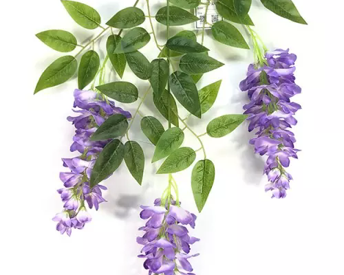 ວິທີການເລືອກ Wisteria ທີ່ດີທີ່ສຸດສໍາລັບເຮືອນແລະເຫດການຂອງທ່ານ