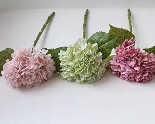 ວິທີການເລືອກ hydrangea ທຽມ?