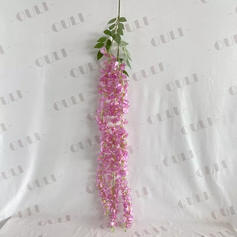 ດອກໄມ້ WISTERIONS
