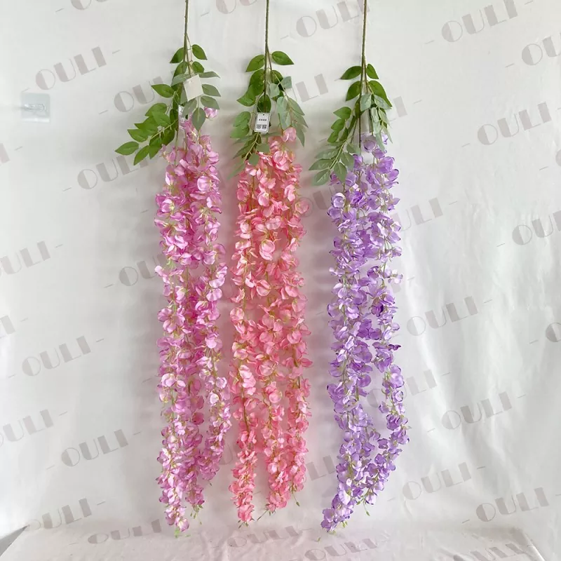 ດອກໄມ້ WISTERIONS