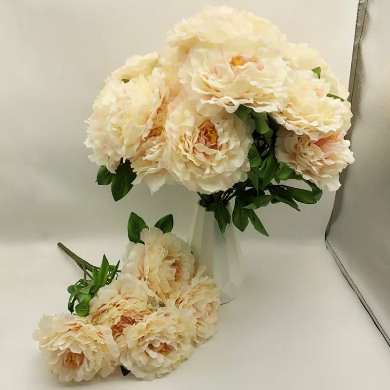 5 ຫົວ Peony Peony