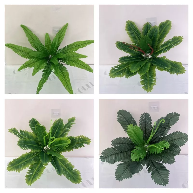 Fern ປອມ Bosticial