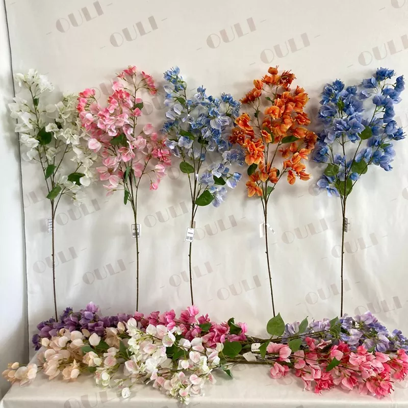 ສາຂາ bougainvillea ທຽມ