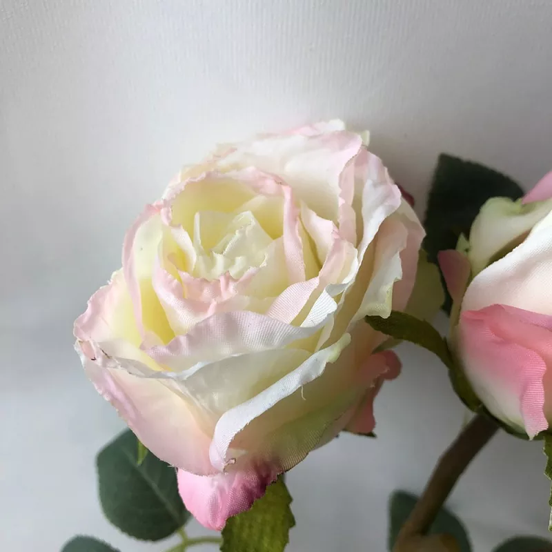 Rose Rose ປອມ