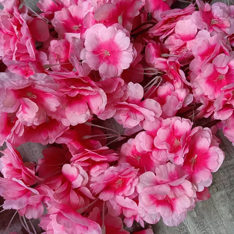 ງ່າໄມ້ໄຜ່ Sakura ທຽມ