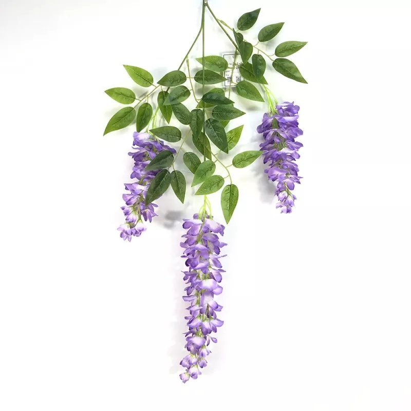 ສາຂາ Wisteria ປອມ
