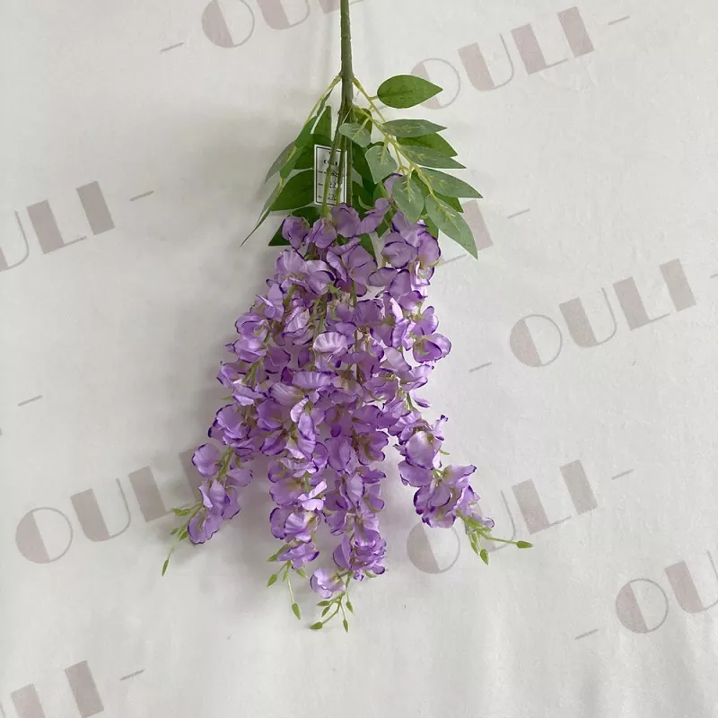 ດອກໄມ້ Wisteria ດອກ
