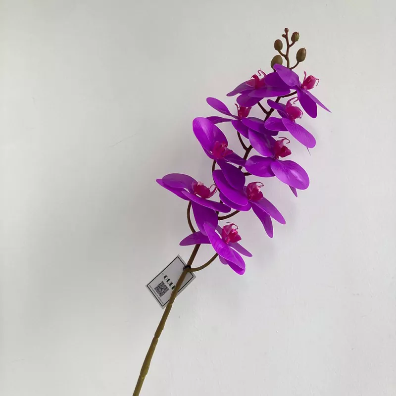 tropical style faux phalaenopsis orchid