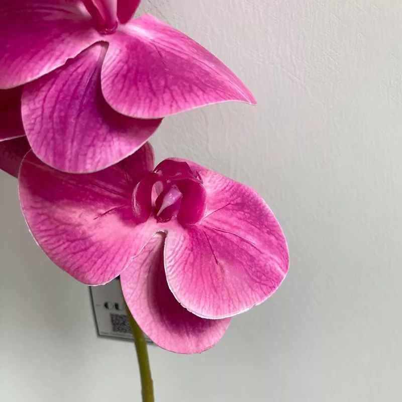 silk phalaenopsis orchid stem with buds