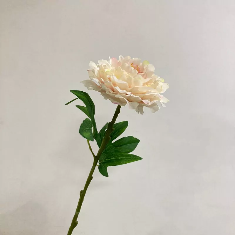 ດອກໄມ້ທຽມໃຫຍ່