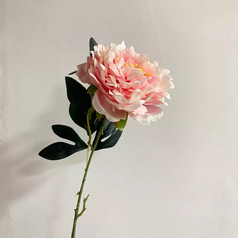 peony fake ທີ່ຍາວນານ