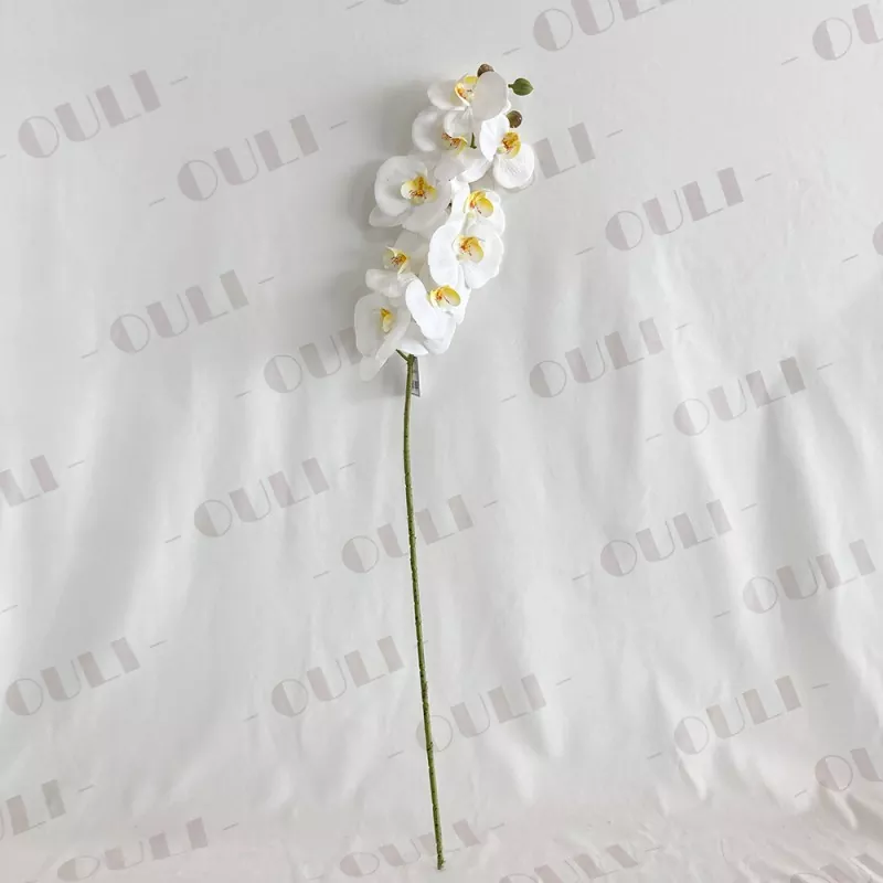 orchid ປອມສໍາພັດທີ່ແທ້ຈິງ