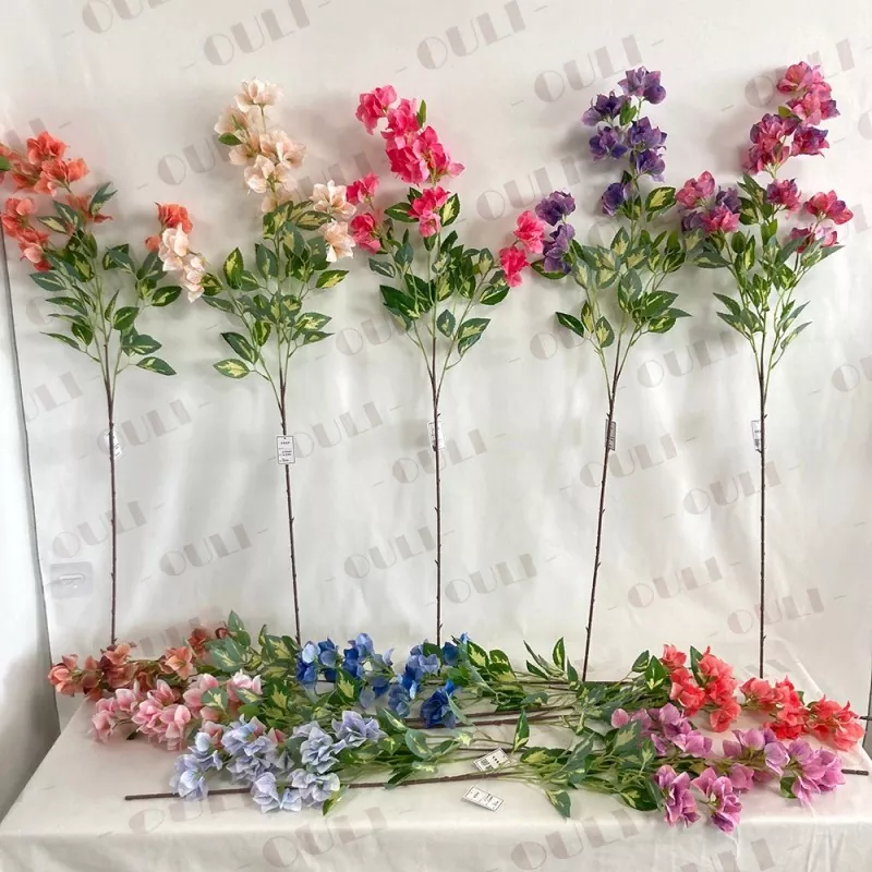 ໄຫມໄຫມບູຮານ Bougainvillea