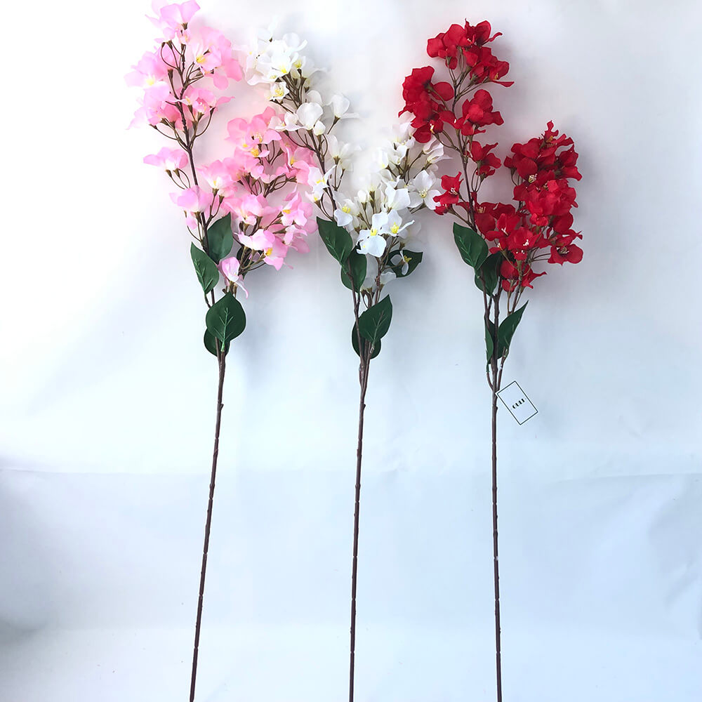 ສີດດອກໄມ້ດອກໄມ້ Bougainvillea